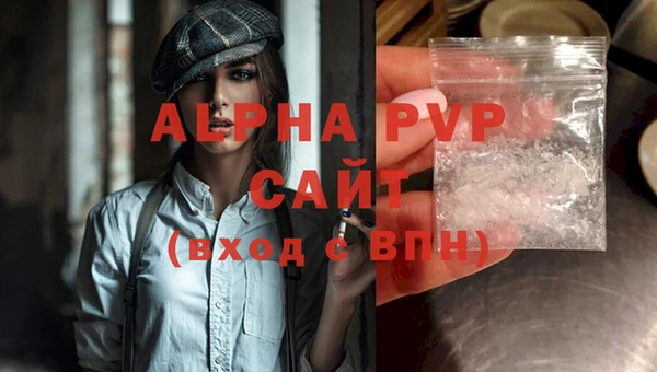 гидра Алексин