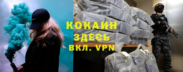 гидра Алексин