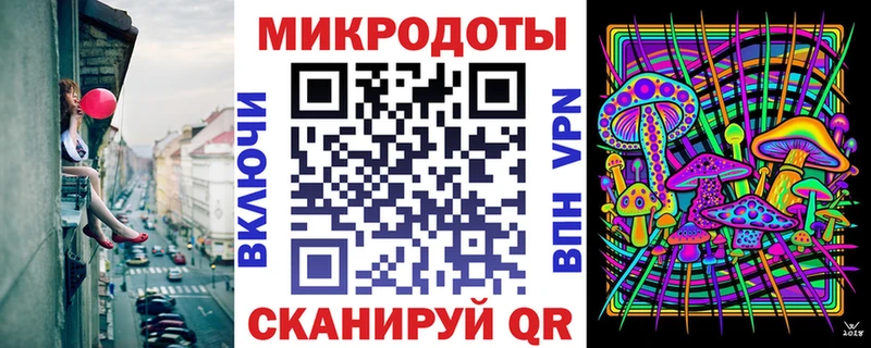 площадка клад  Щёлково  Галлюциногенные грибы Cubensis 